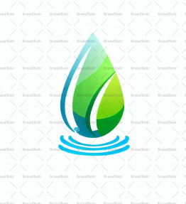 Wassertropfen und Blatt